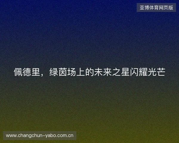 佩德里，绿茵场上的未来之星闪耀光芒